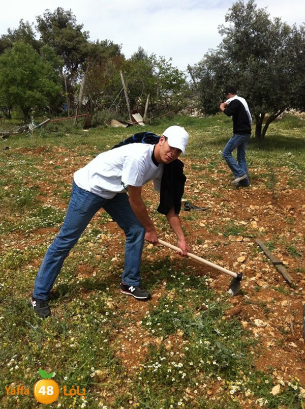 ludandyaffazaitoon (42).JPG